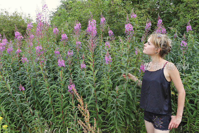 户外女孩在野花草地粉红色的fireweed Mitcham Common